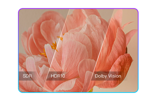 將 SDR 轉檔至 HDR/Dolby Vision