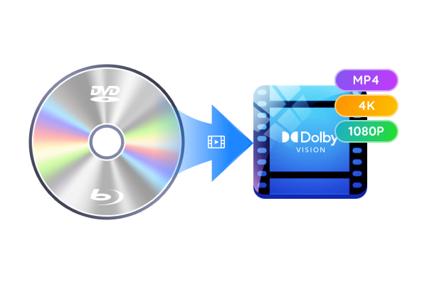 provide Dolby Vision HDR Support