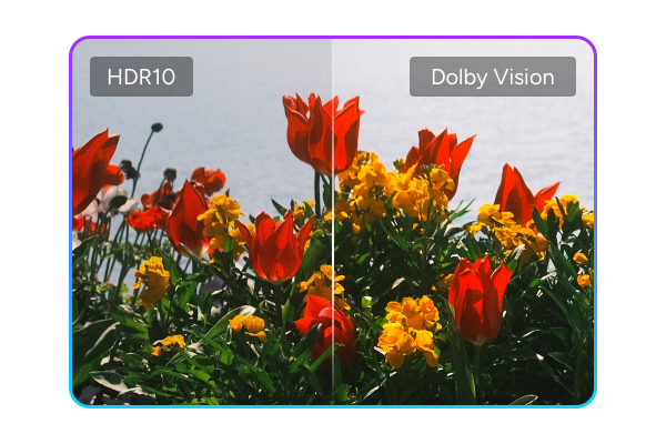 將 HDR10 升級至 Dolby Vision