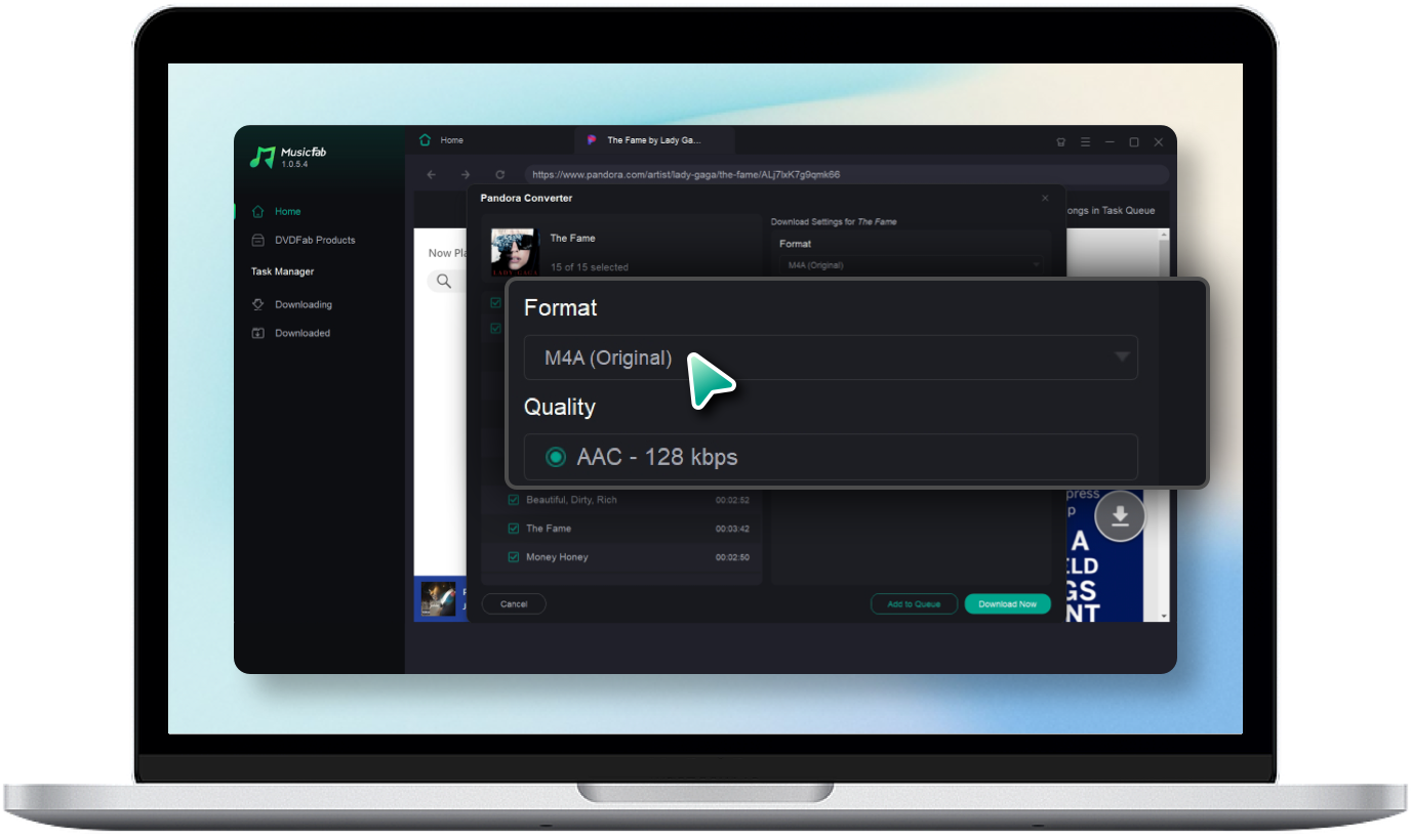 Customize the Output Format and Audio Quality