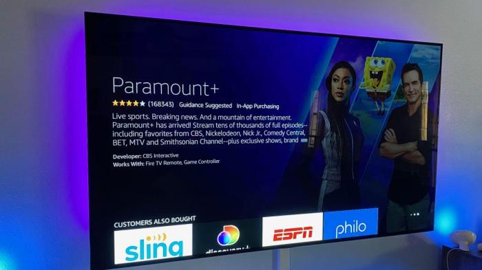 So sehen Sie sich Paramount Plus auf Fire TV mit Amazon Prime Video an