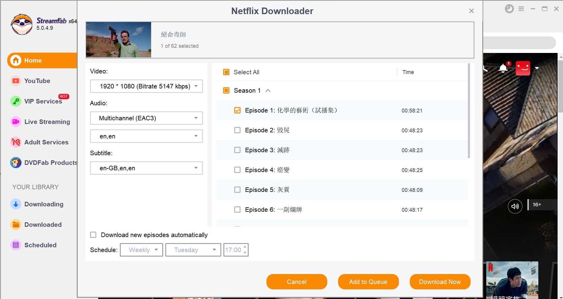 download streaming video