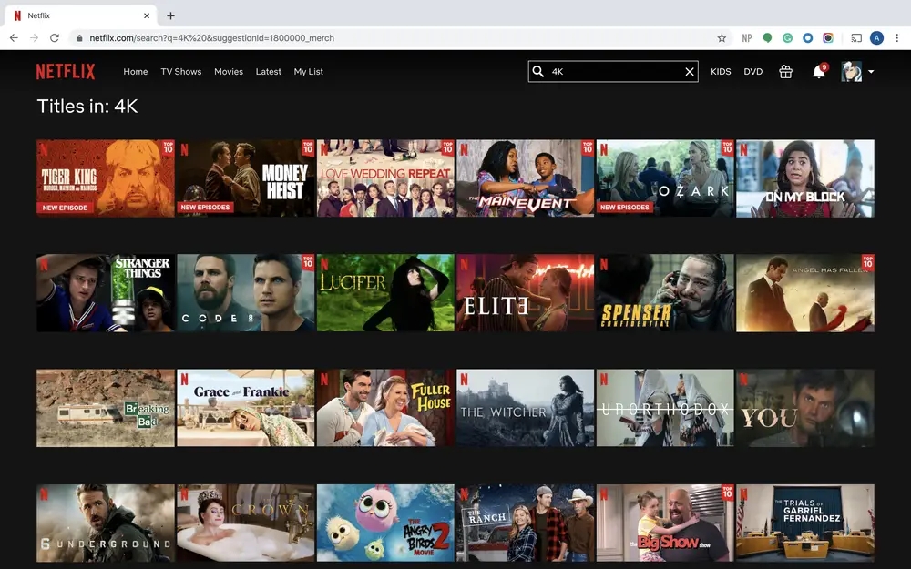 Search Netflix 4K movie