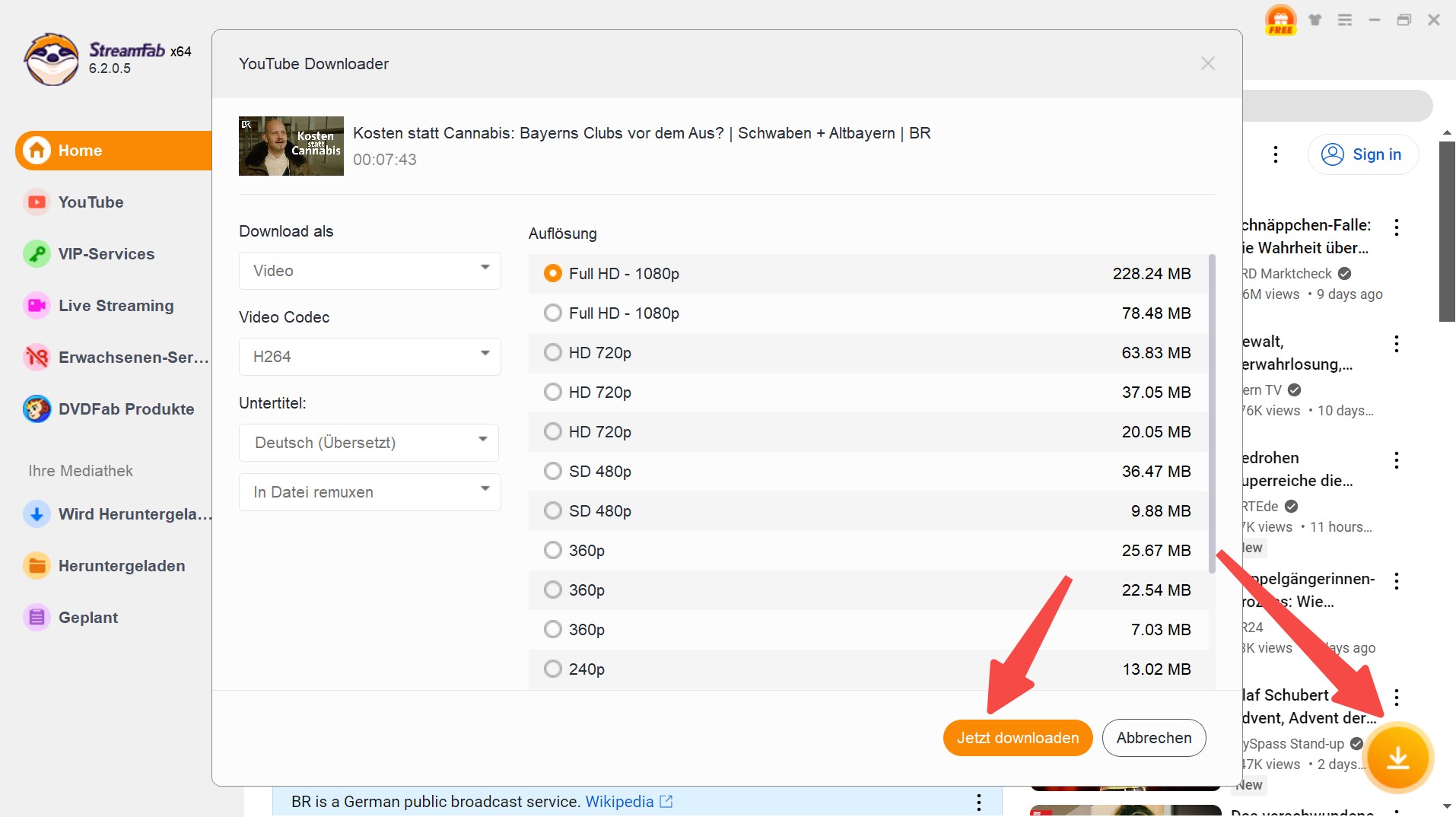 Download-Schritte mit StreamFab YouTube Video Downloader Pro