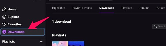access them via the Downloads menu