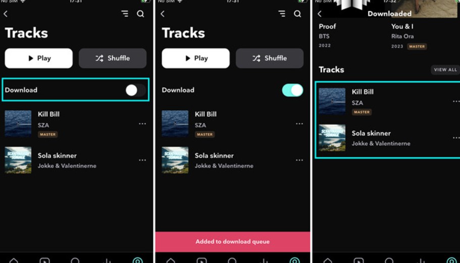 Download Music from Tidal on Mobile phones
