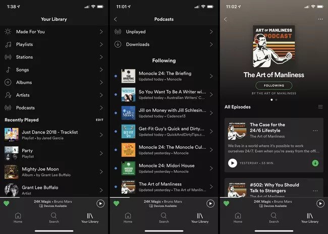download  podcast on Spotify