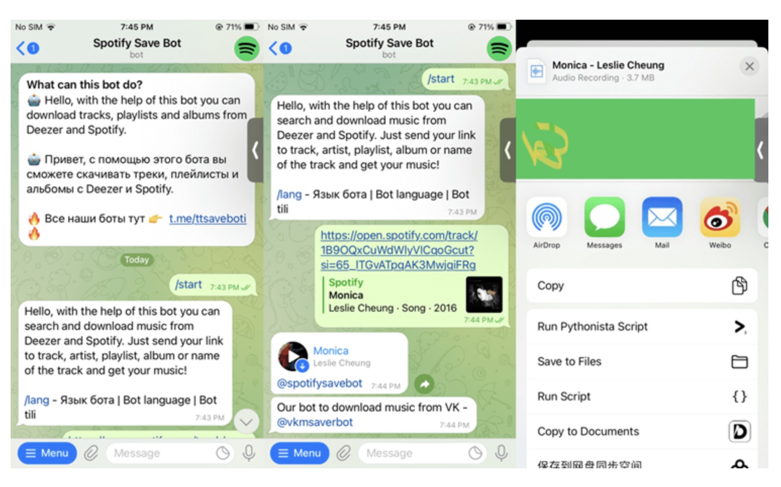 how to download Spotify songs to iPhone using the Telegram Bot.