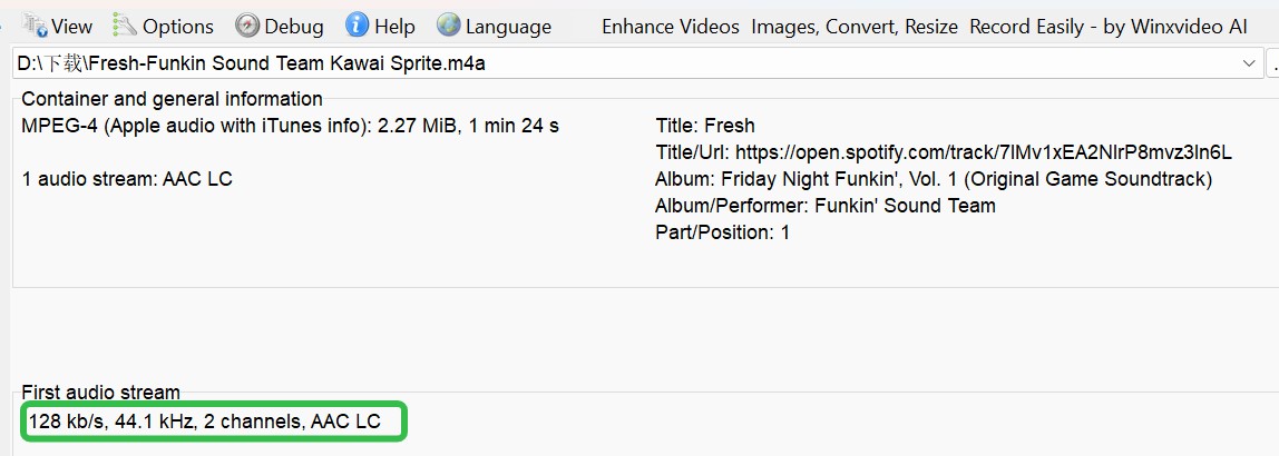 spotisong downloader m4a metainfo