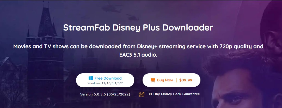 disney plus roku:How to Download Disney Plus Content: With StreamFab Disney Plus Downloader