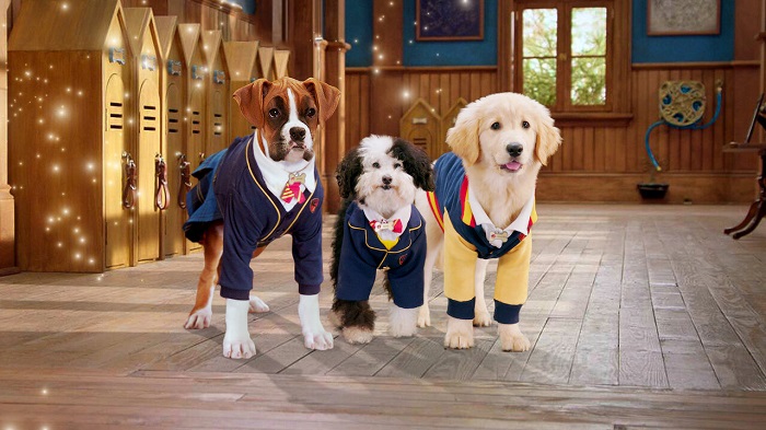 dog movies on netflix:8. Pup Academy