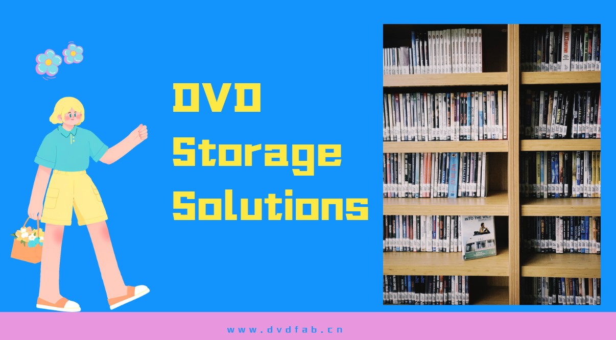 dvd storage ideas and solutions
