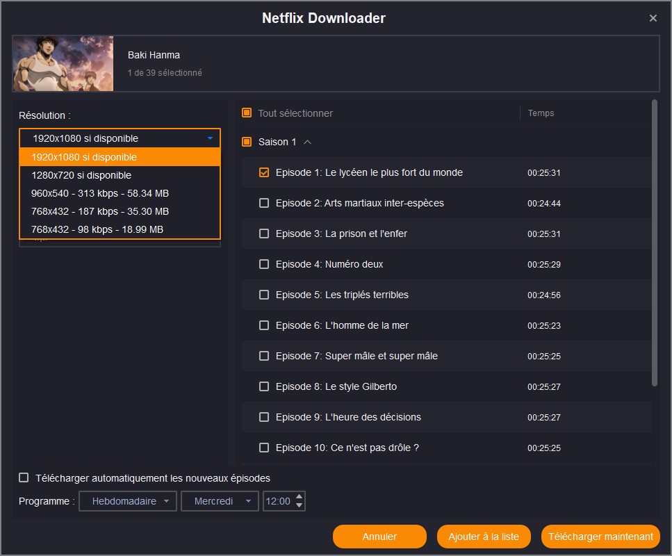 télécharger anime avec le meilleur streaming downloader