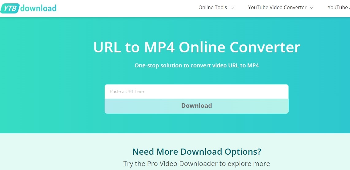 URL to MP4 Online Converter