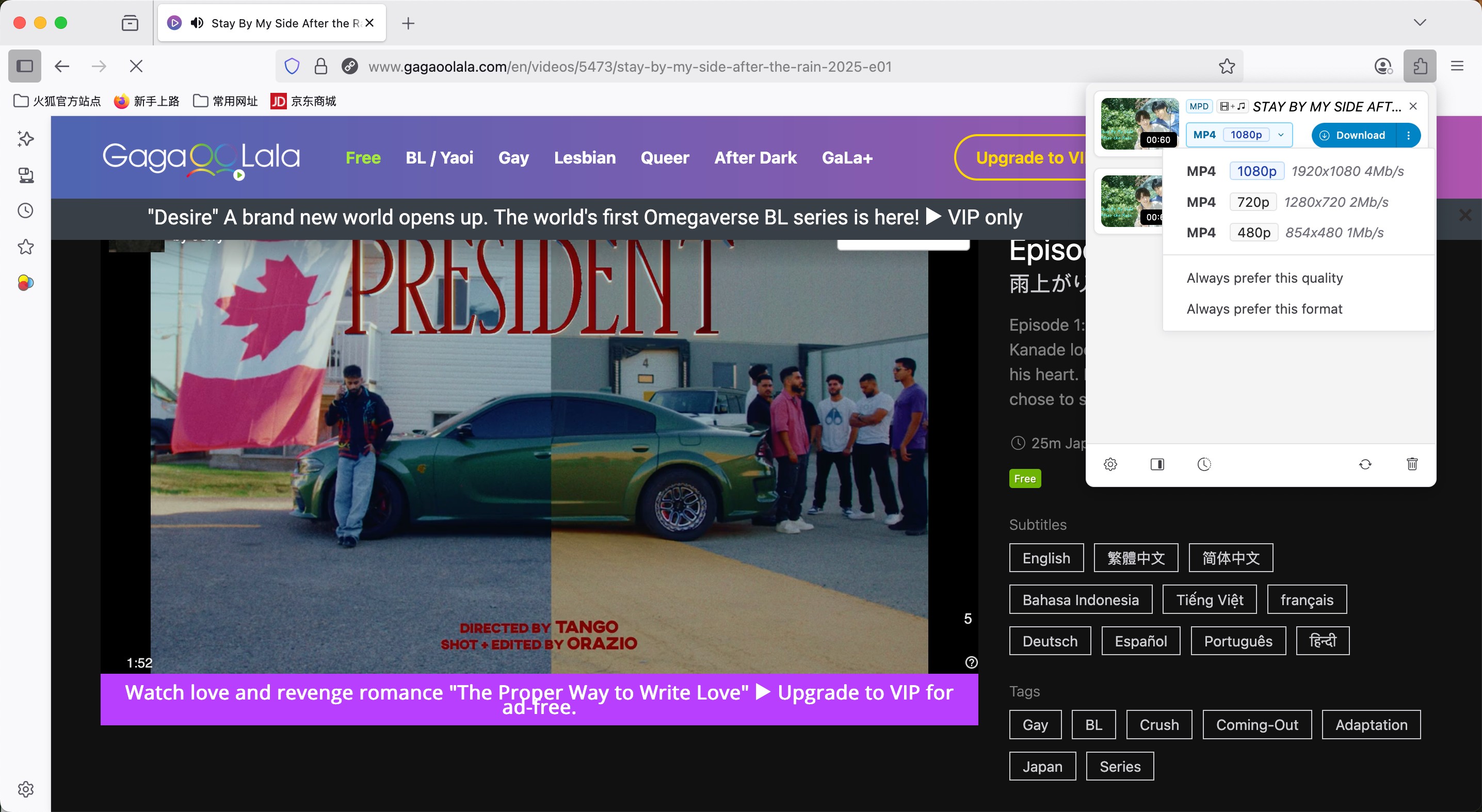 How to Download Videos from GagaOOLala for Offline Viewing: steps of video downloadhelper