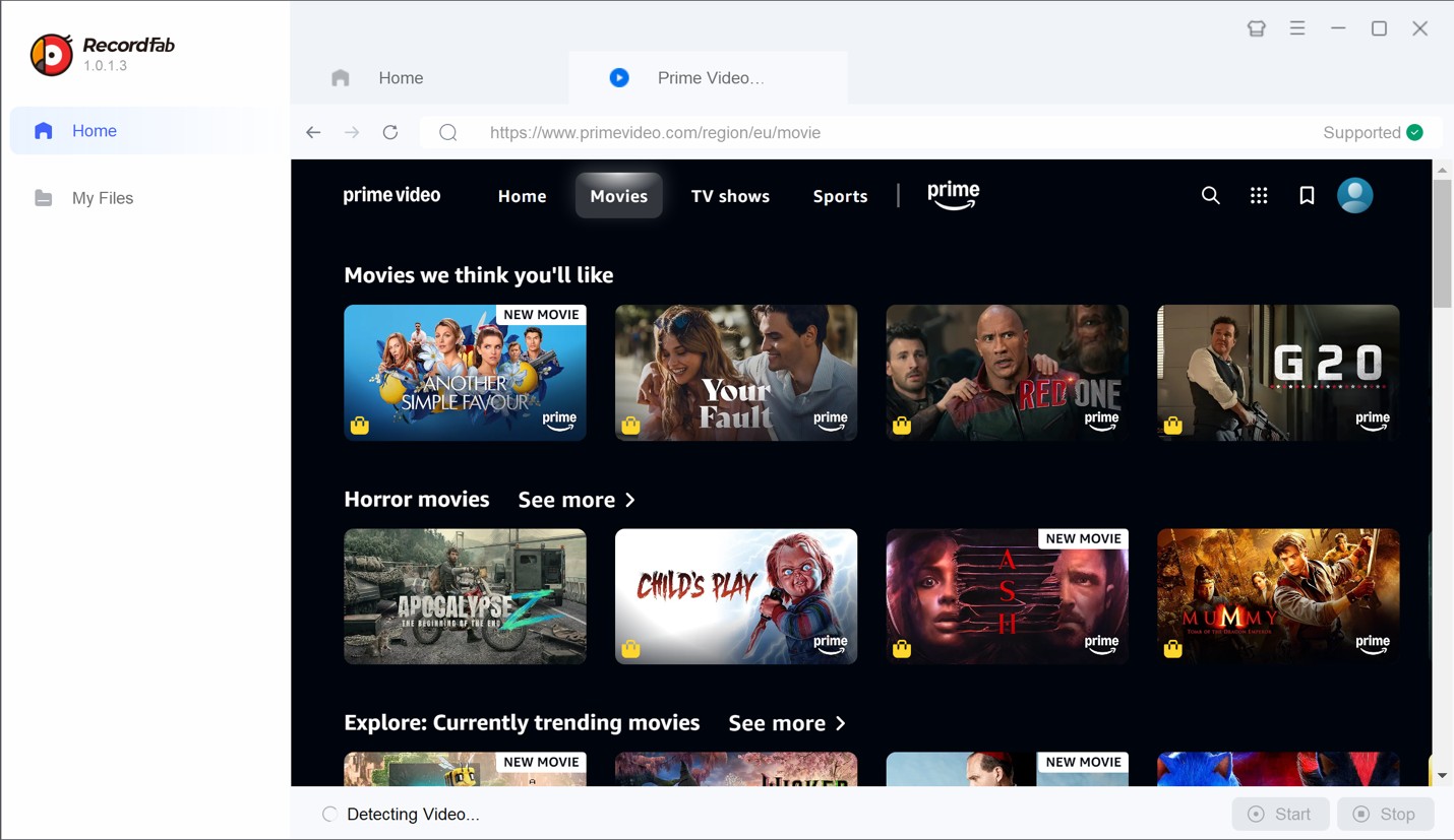 The Best Ways to Screen Record Protected Videos on PC: steps of recordfab